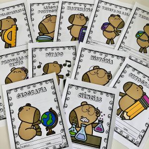 Kit organização cadernos, agenda e sala- Capivara